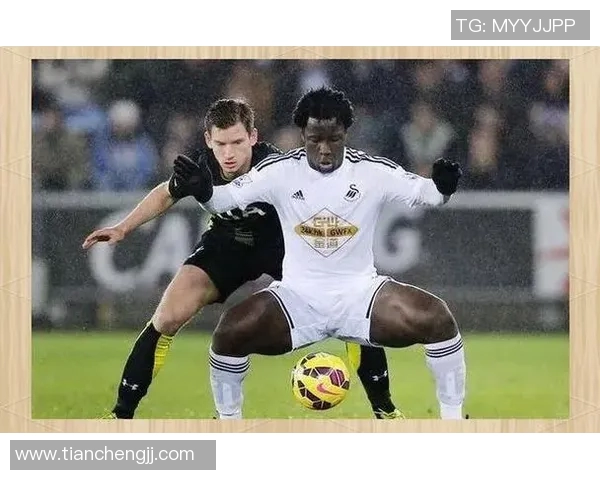 足球明星腿断事件引发关注球迷们为他送上祝福与支持