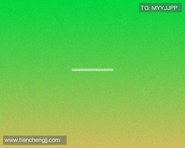 情侣气质头像与篮球明星的完美结合展现青春活力与浪漫情怀