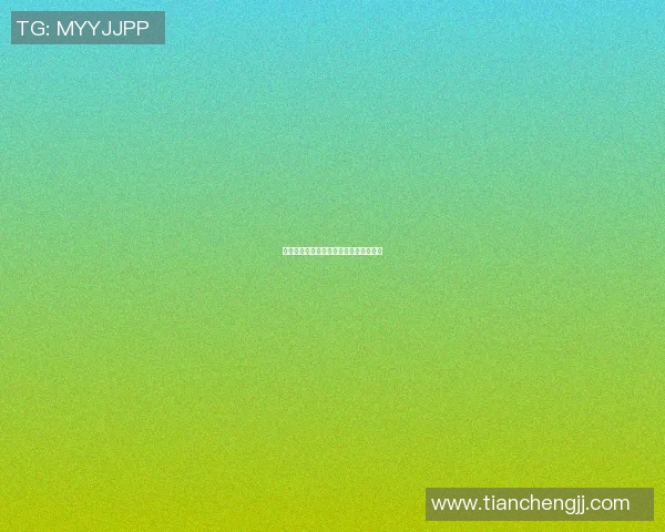 桌上篮球明星的传奇之路与成长故事分享