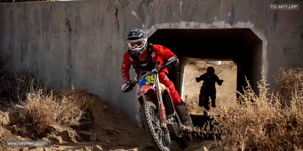 赛事门票快速预订，亲临现场感受震撼🎟️